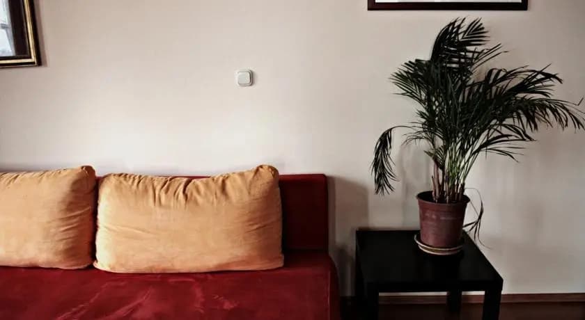 Arpa Flat Rumba - photo 8