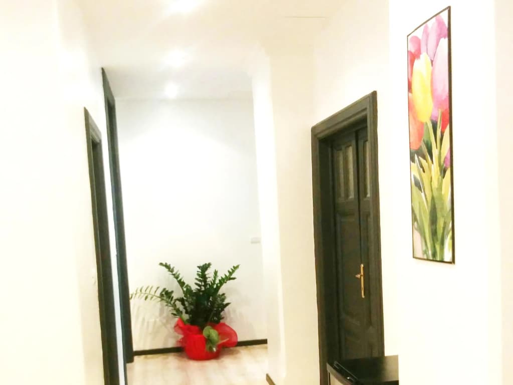 Ad Hoc Guesthouse - photo 8