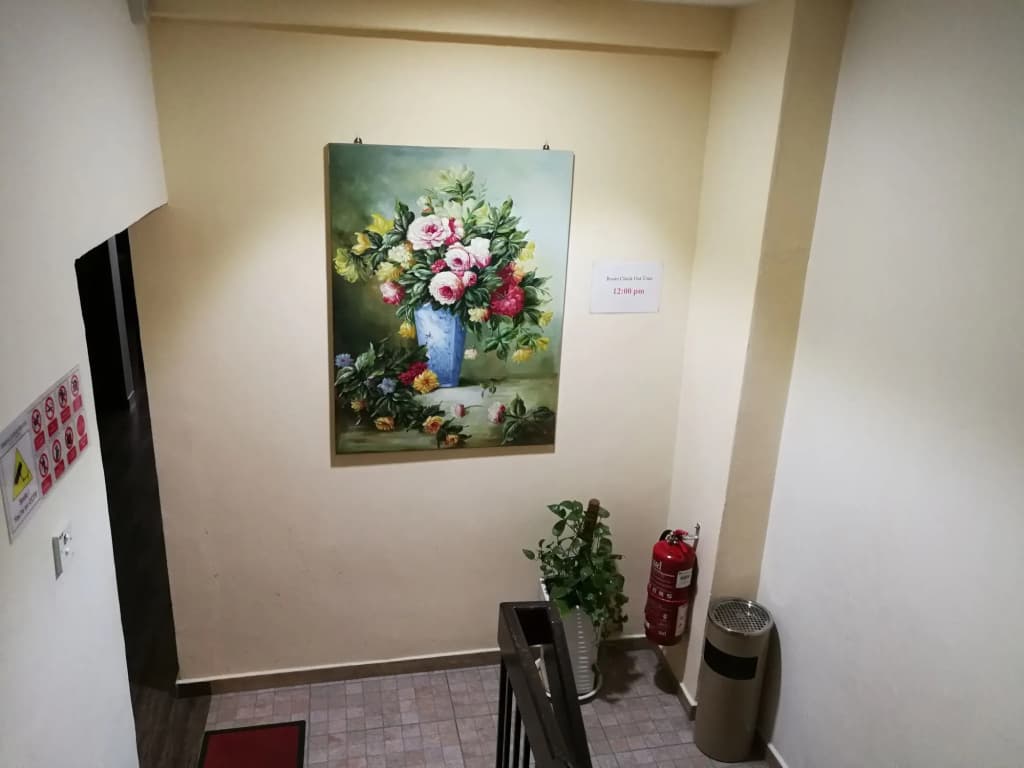 Spring Lodge Hotel - photo 13