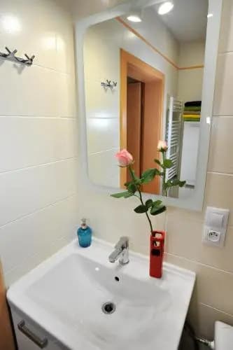 Condo in Vinohrady - photo 9