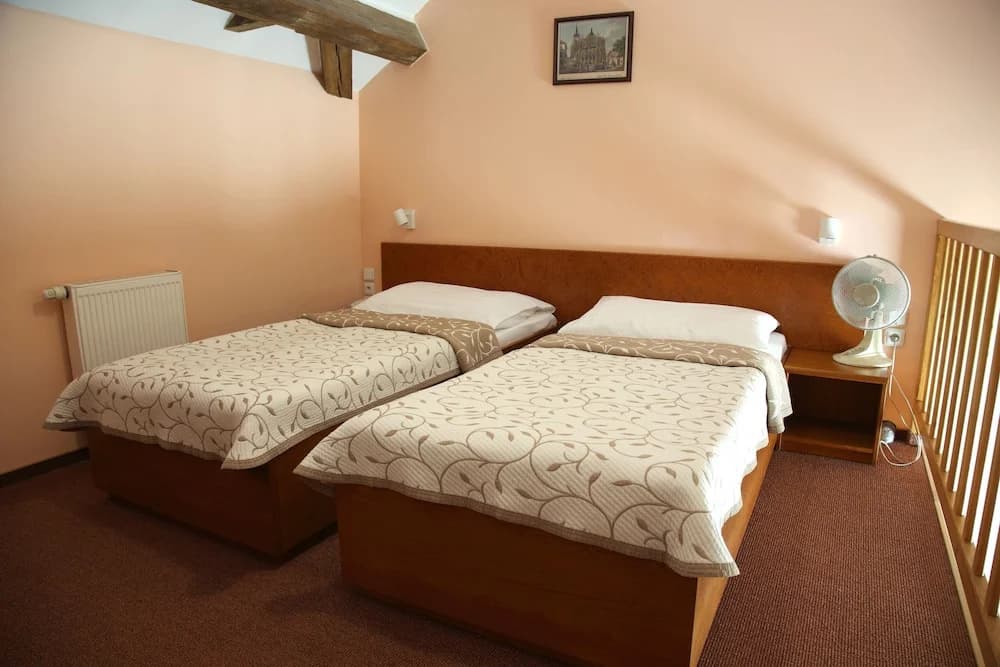 Hotel Čertousy - photo 4