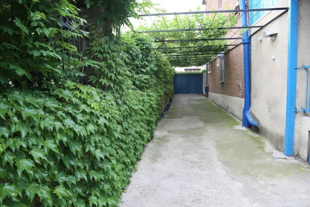 Hotel Chubini - photo 15
