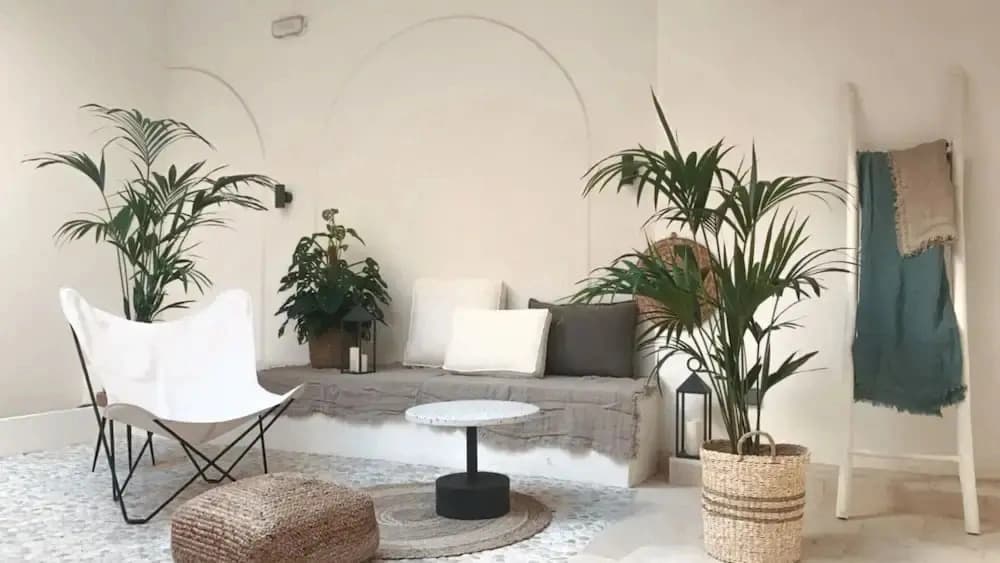 Casa du Soleil Hostal Boutique - photo 9