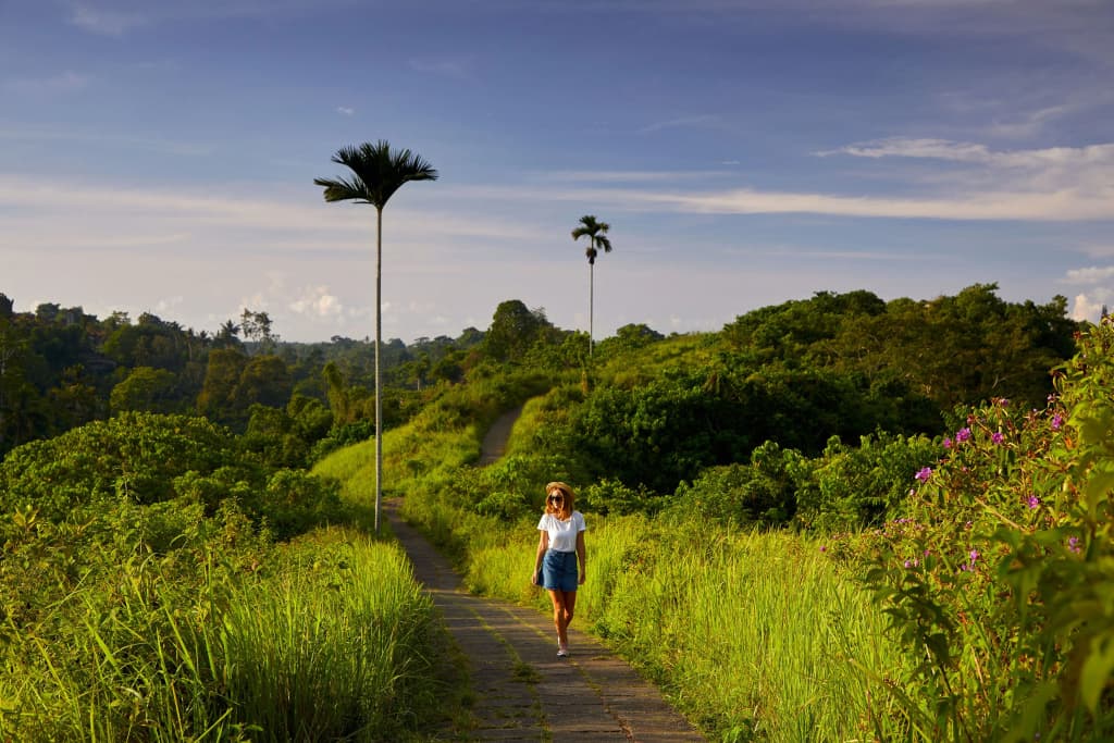Element Bali Ubud Hotel - photo 33