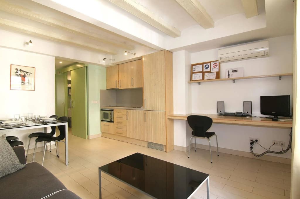 Ramblas Apartments - photo 13