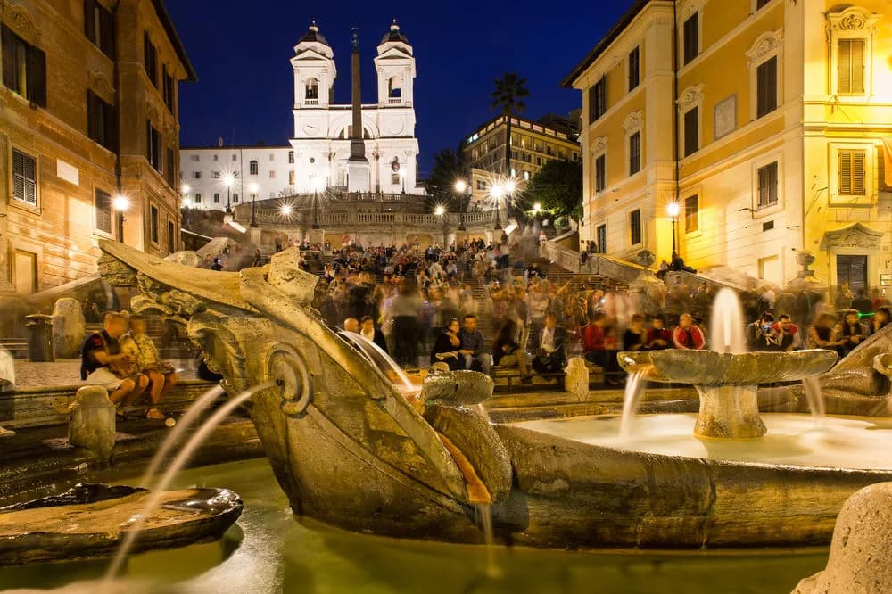 C&C Navona - photo 15