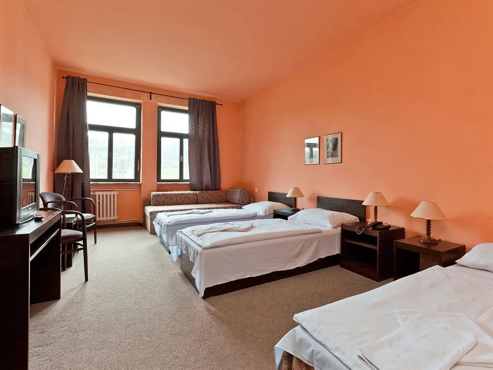 Hotel Braník - photo 4