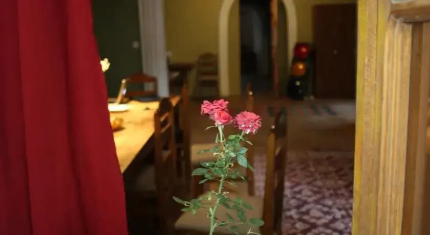 Pomegranate Hostel - photo 2