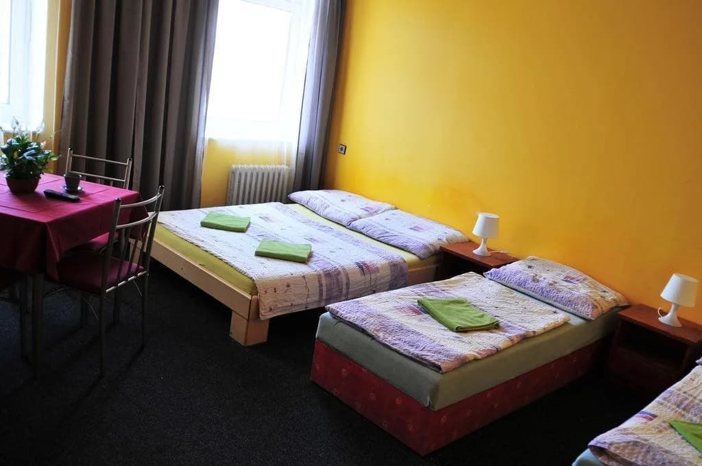 Hostel Alia - photo 8