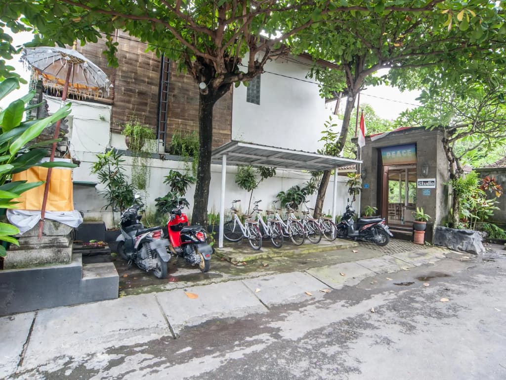The Studio - main photo