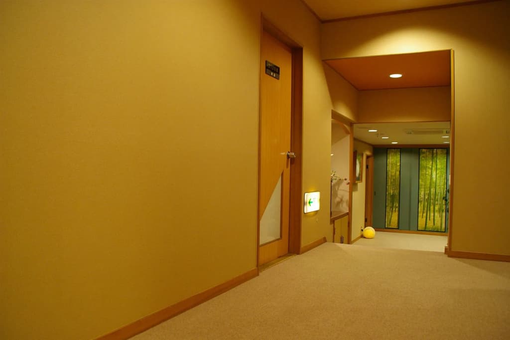 Ryokan Sawaya Honten - photo 16