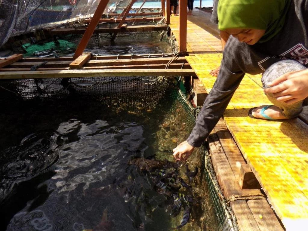 Terapung Hotel & Fish Garden - photo 11