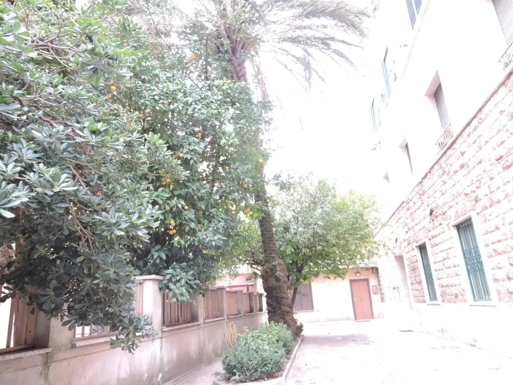 Domus Angelica - photo 9