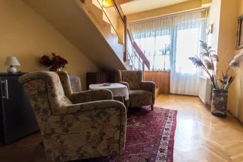 Mohacsi Guesthouse - photo 9