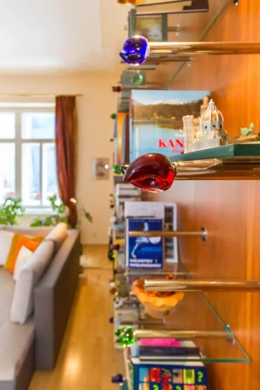 Apartment Victor - photo 19