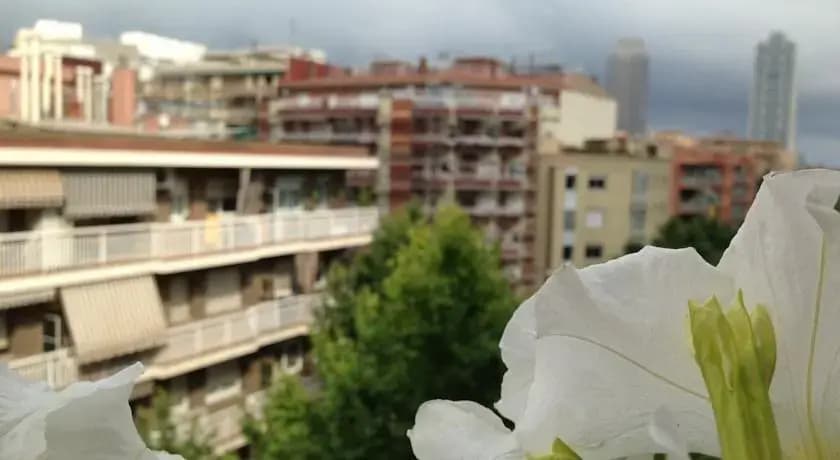 Freemove Sardenya - photo 6
