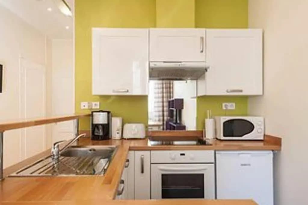 Barla 3 - a Spacious One Bedroom Apartment Near Place Garibaldi - photo 8