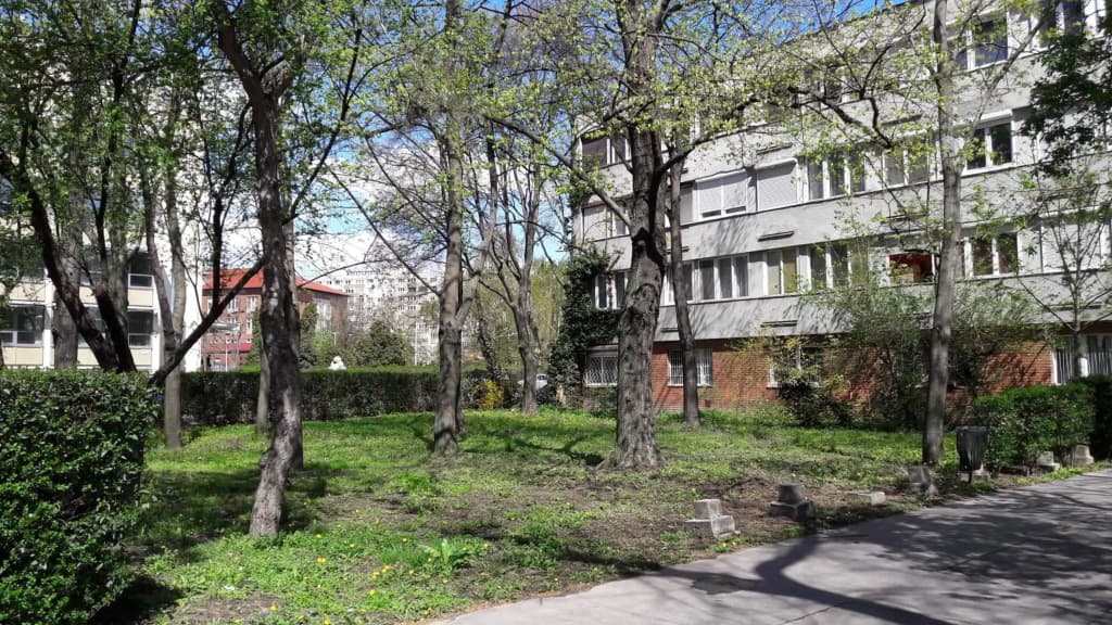 Greenapartman - photo 10
