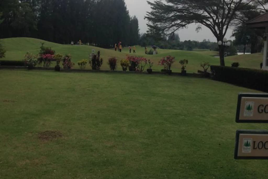 The Pine Golf & Lodge - photo 12