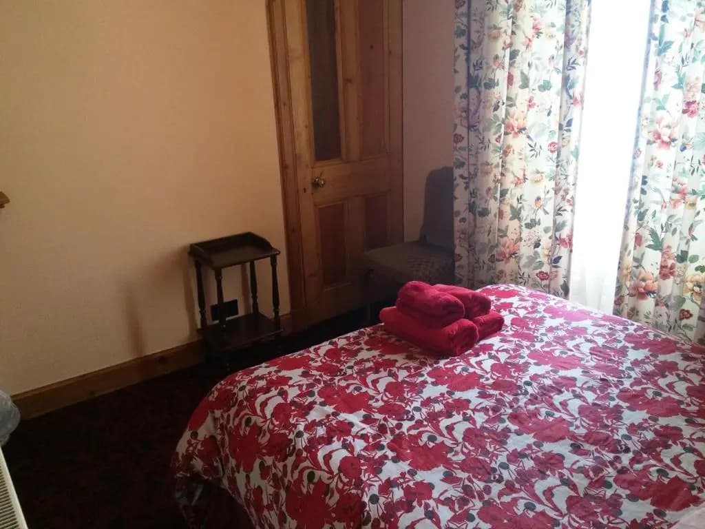 Bellevue Guest House - photo 2