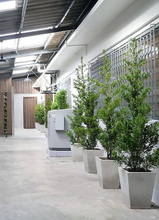 Baan Mai Guest House - photo 1