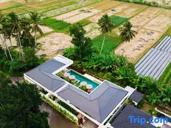 Villa Ubud Escape by BaliSuperHost - photo 5