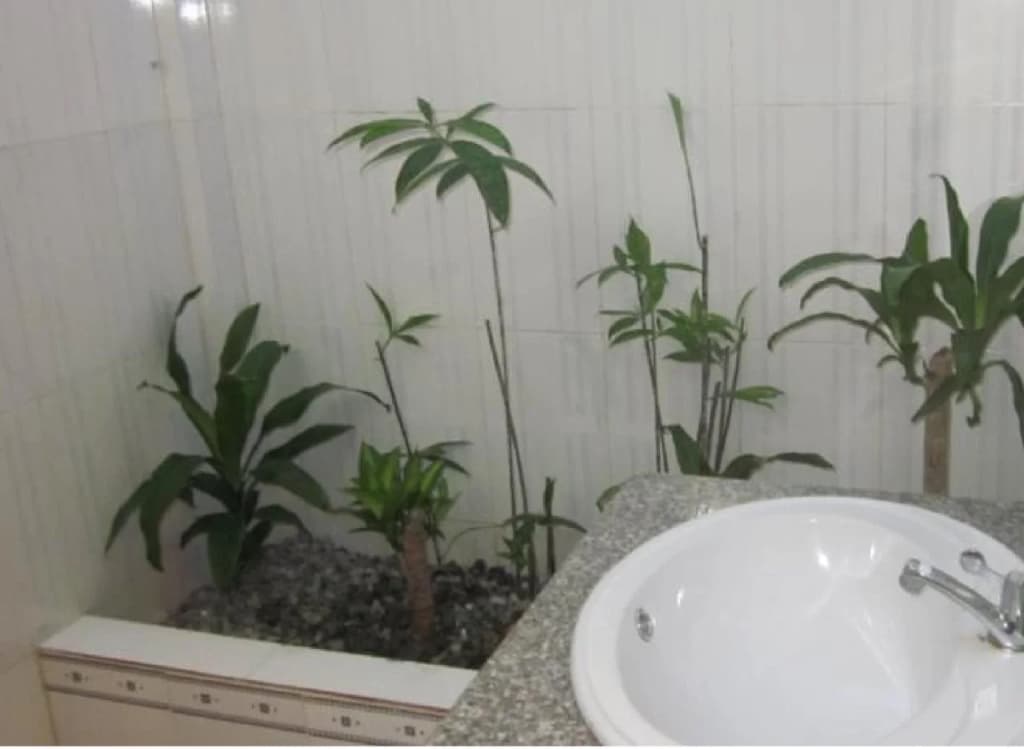 Sea Lavie Hostel - photo 5