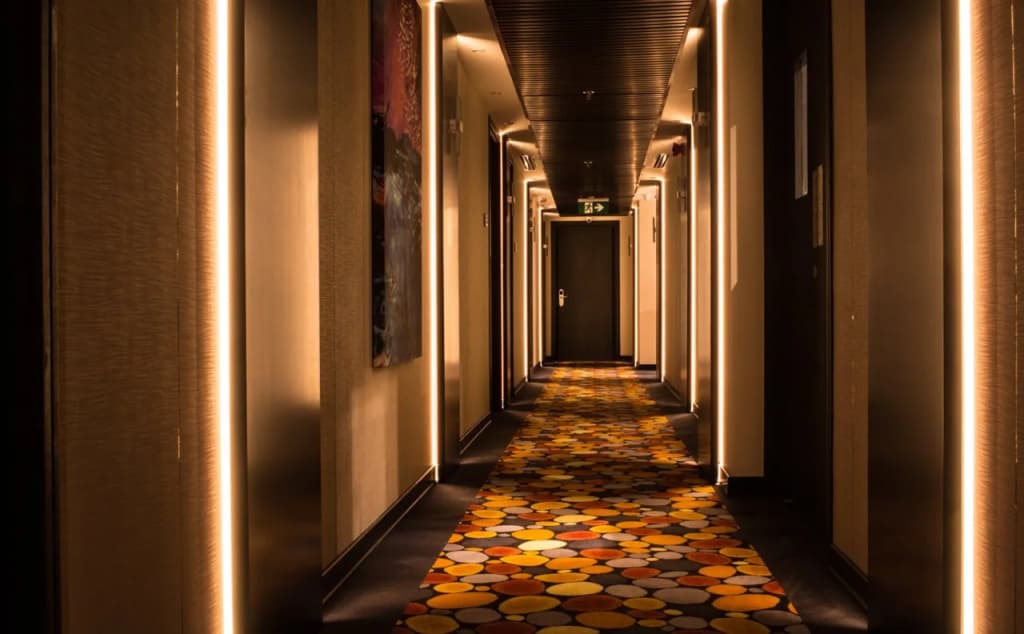 Carnelian Muscat — Airport Hotel - photo 5