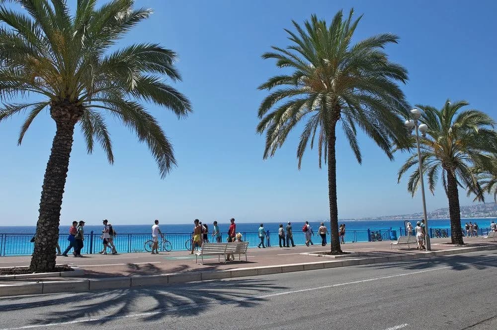 Nice Booking - Domes - Piscine Terrasse - photo 8
