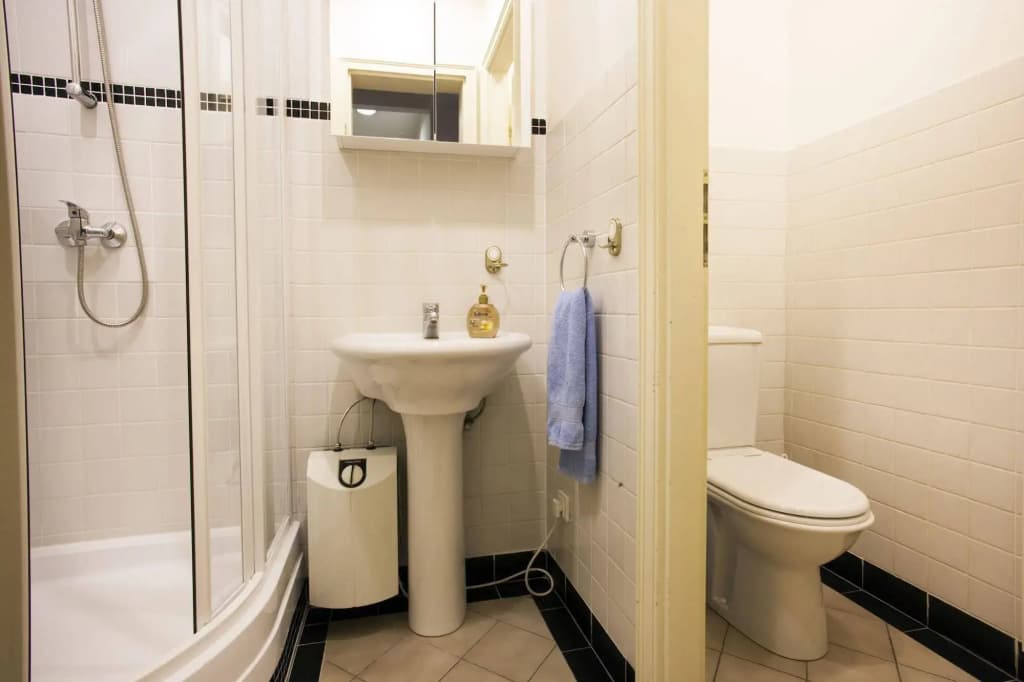 Vltava Apartments Prague - photo 8