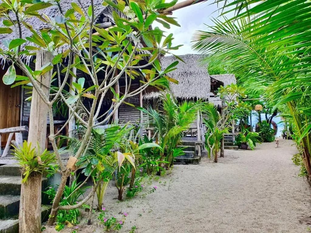 Absolute Beachfront Resort - photo 21