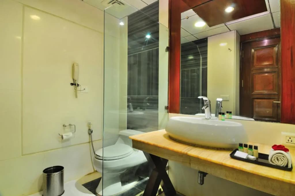 Hotel Aura - Near to New Delhi Railway Station - photo 34