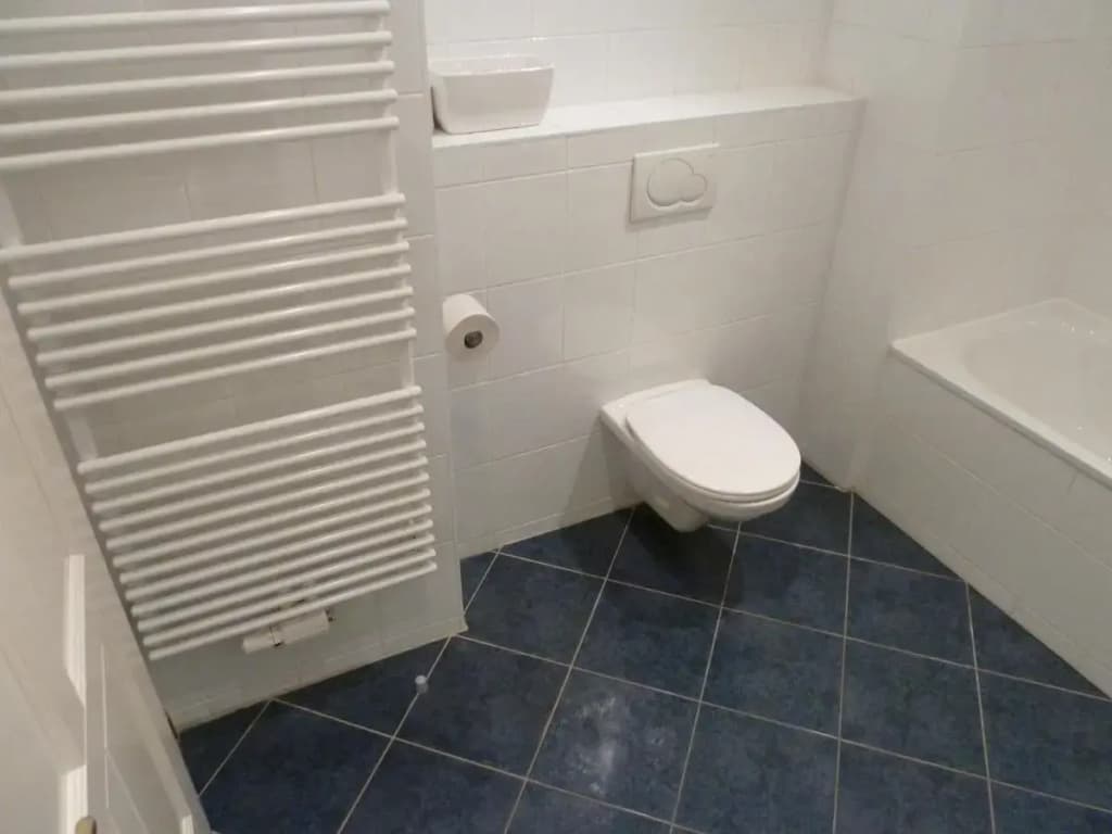 Sobieski City Center Apartments - photo 6