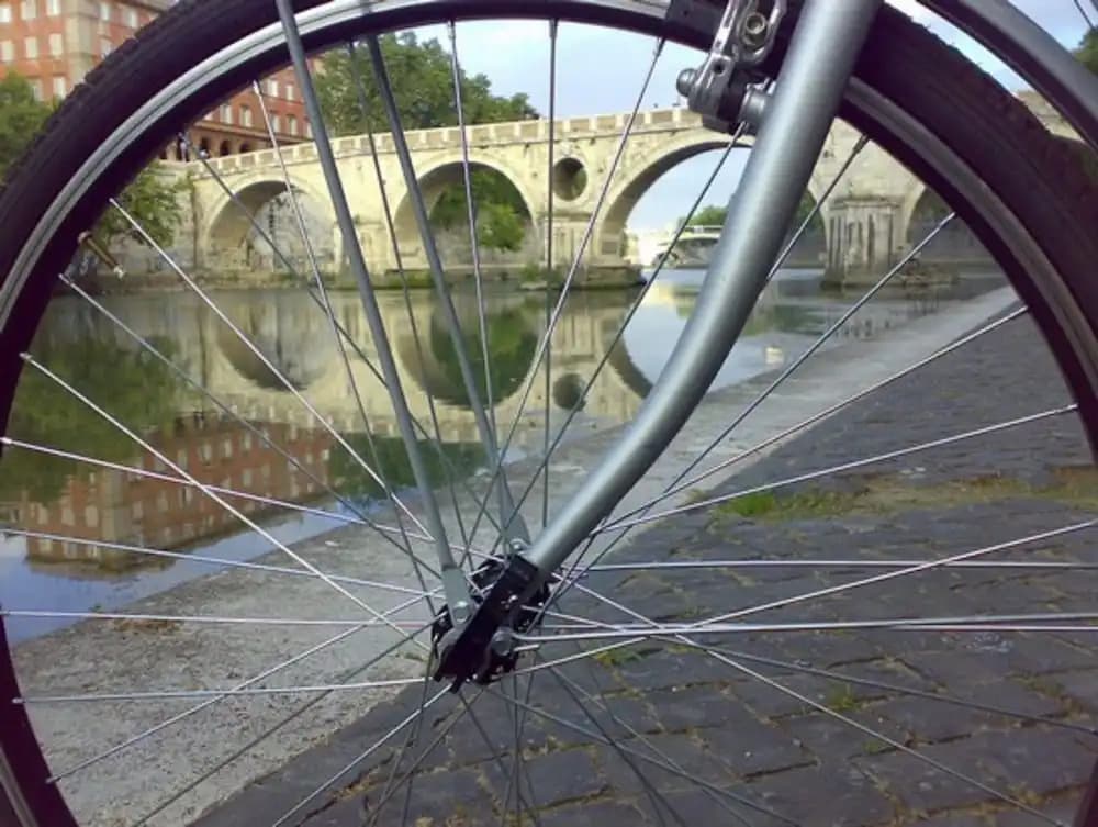 La Lupa In Trastevere - photo 13