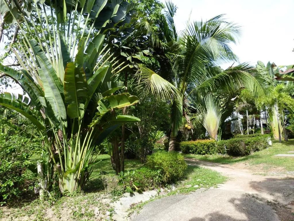 Seagull Villa - photo 36