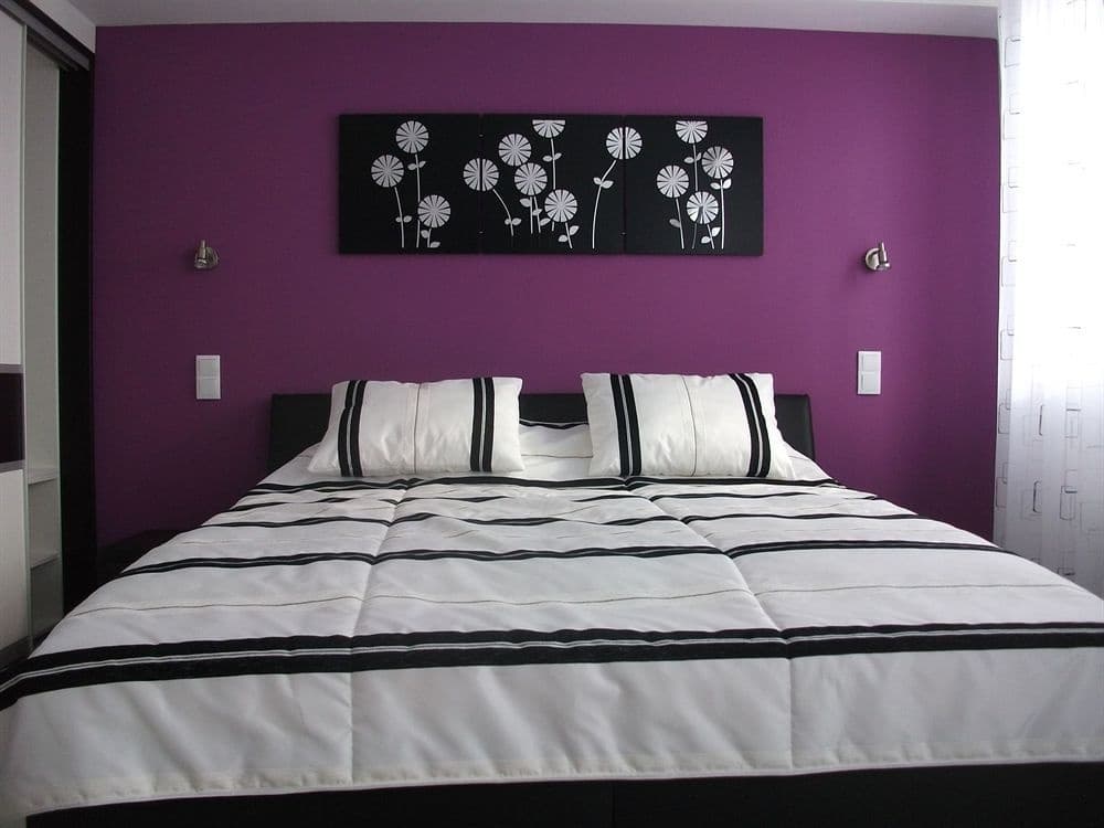 Constantin Apartments - photo 5