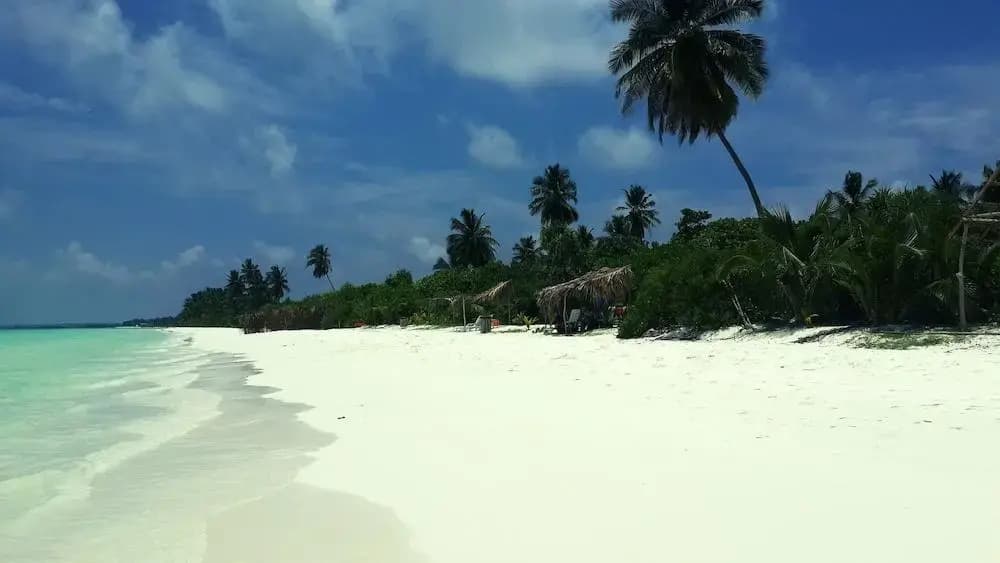 Amra Palace Laamu - photo 16