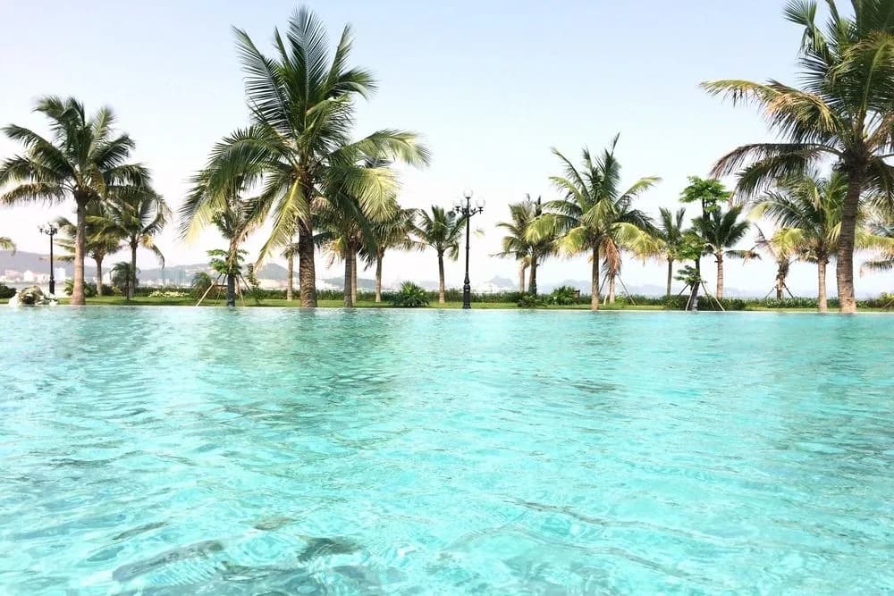 Paradise Suites Hotel - photo 22