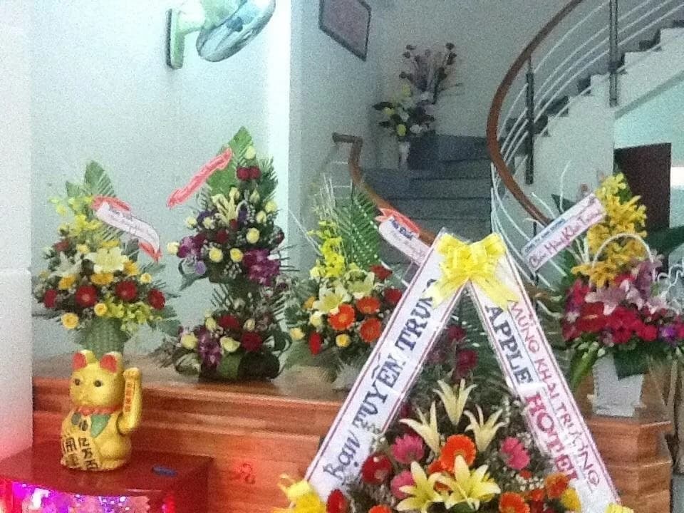 Hotel Apple - photo 16