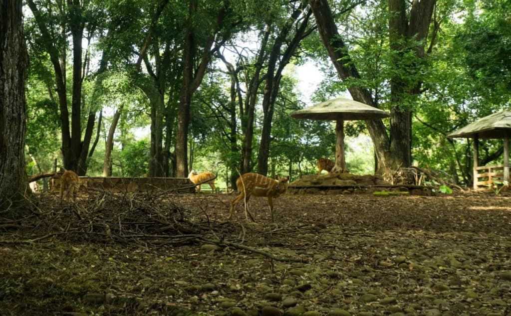 Ragunan Kost Residence - photo 11