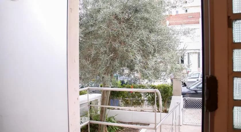 The Olive Tree House - photo 5