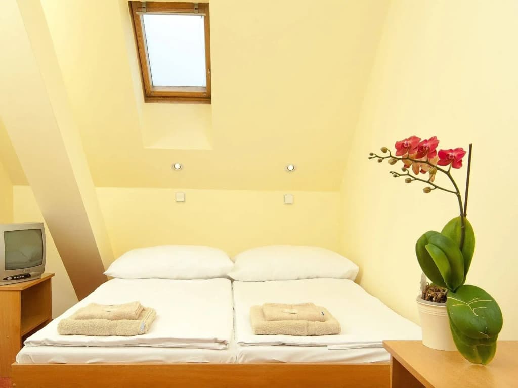 Hotel 51 - photo 6