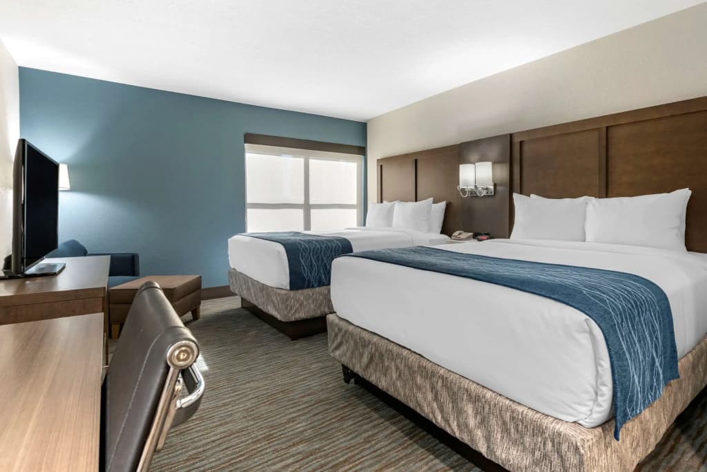Comfort Inn & Suites Downtown Brickell-Port of Miami - photo 3