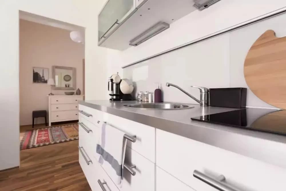 Chic And Spacious Buzulucka Apartment - photo 10