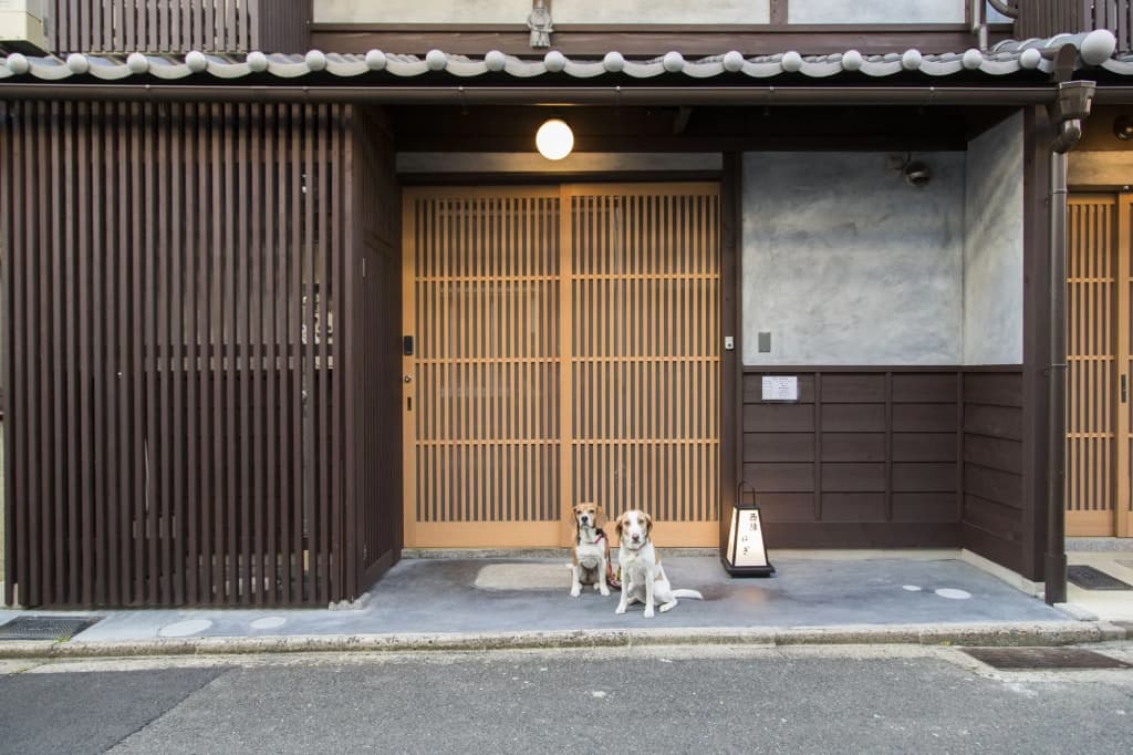 Nishijinkita Hagi Ajisai - photo 17