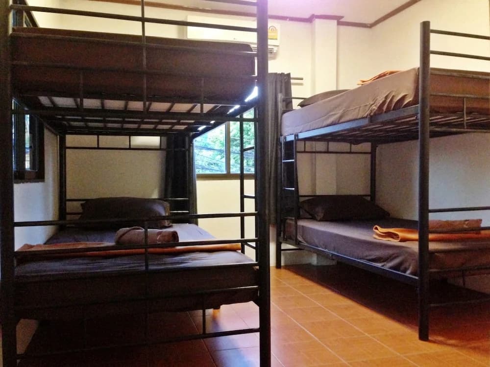 White Rabbit - Hostel - main photo
