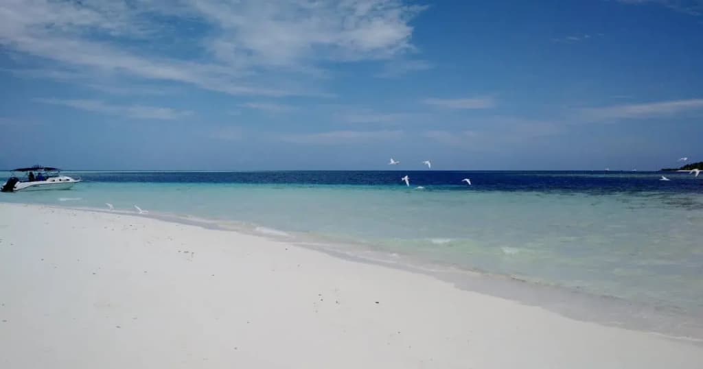 Canopus Retreat Thulusdhoo - photo 31