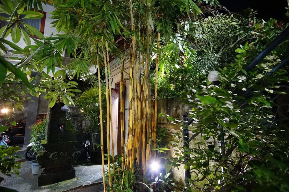 Ubud Dream Homestay - photo 12