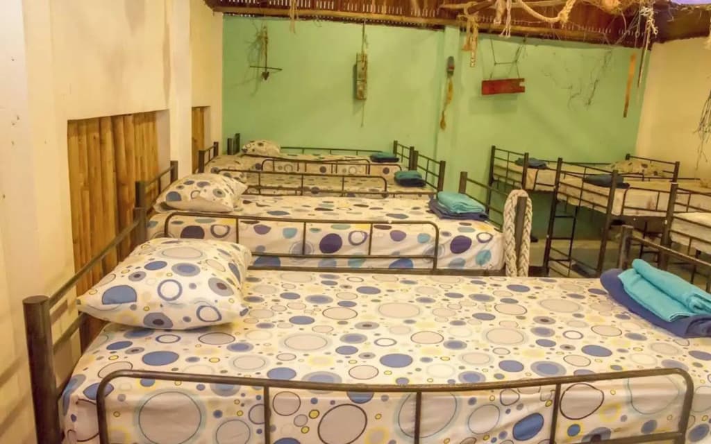 Dancing Elephant Beach Club - Hostel - photo 3