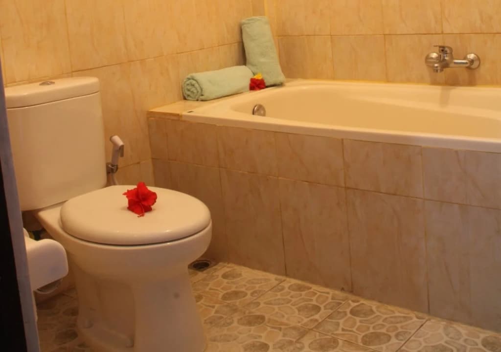 Aya's Lodge - photo 5